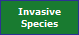 Invasive
Species