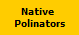 Native 
Polinators