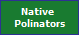 Native 
Polinators