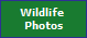 Wildlife 
Photos