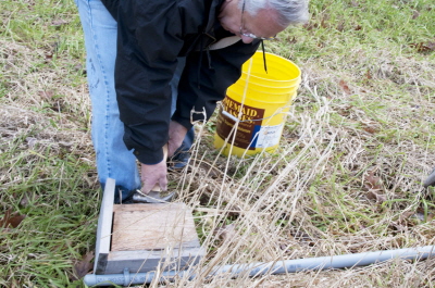 Cleaning Bird Boxes