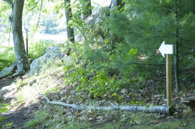 Eagle Scout Trail Improvement Project