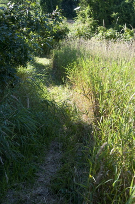 Grassland Trail Aug