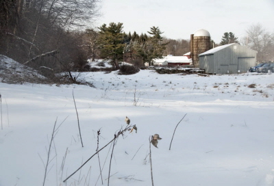 Snow Field Jan