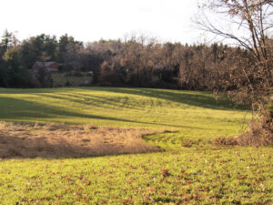 A wide view of a mowed field with forest trees and sky in the background.