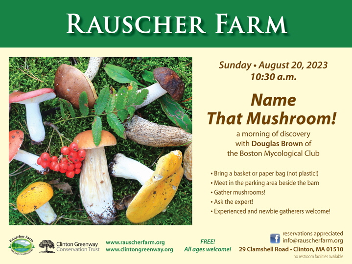 Event Poster: "Name That Mushroom!" with a photograph of various kinds of picked mushrooms.arranged on the ground.
Sunday, August 20, 2023, 10:30 a.m.
A morning of discovery with Douglas Brown of the Boston Mycological Club.
Bring a basket or paper bag (not plastic)
Meet in the parking area beside the barn.
Gather Mushrooms!