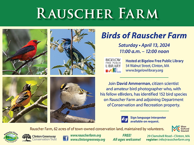 Event poster. "Birds of Rauscher Farm" with photographs of four different birds.
Saturday April 13, 2024 11:00 a.m. - 12:00 noon. Hosted at Bigelow Free Public Library 54 Walnut St. Clinton.

Join David Ammerman, citizen scientist and amateur bird photographer who with his fellow eBirders, has identified 152 bird species on Rauscher Farm and adjoining Department of Conservation and Recreation property.
