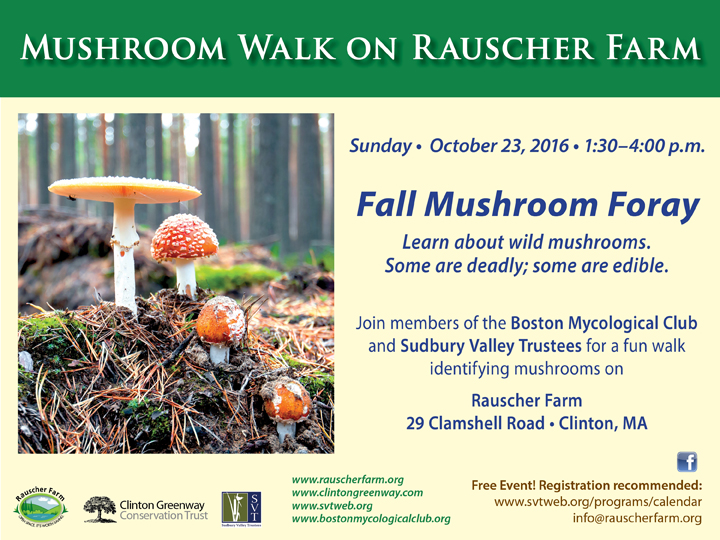 Event Poster: Mushroom Walk on Rauscher Farm

With illustration of standing yellow and orange mushrooms on mossy forest floor.

Fall Mushroom Foray

Sunday Octo9ber 23, 2016
1:30: to 4:00 p.m.

Join members of the Boston Mycological Club and Sudbury Valley Trustees for a fun walk identifying mushrooms on Rauscher Faarm