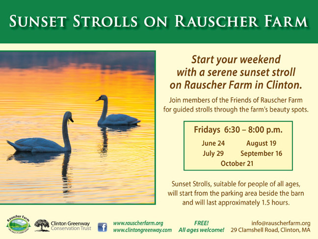Event Poster: Sunset Strolls on Rauscher Farm
With a photo of a pair of swans floating in pond with reflected orange sunset sky.

Join guided 1.5 hour Sunset strolls, suitable for people of all ages on five Friday evenings June through September.