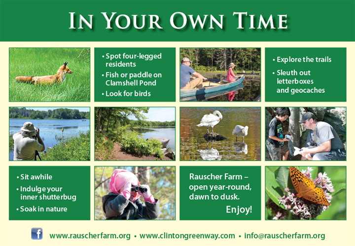 In Your Own Time
a poster with pictures and descriptions of activities visitors can enjoy on Rauscher Farm on their own time: