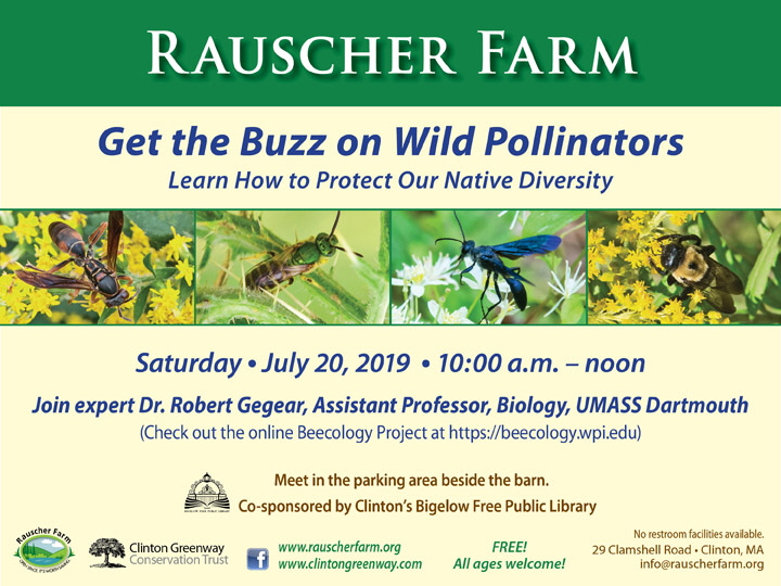 Event Poster: Get the Buzz on Wild Pollinators 

With photos of a black wasp, a blue wasp, a bumblebee and a shiny green sweat bee feeding on Rauscher Farm flowers.

Saturday, July 20, 2019
10:00 a.m. to noon

- Learn How to Protect Our Native Diversity

Join expert Dr. Robert Gegear, Assistant Professor, Biology, UMASS Dartmouth

(Check out the online Beecology Project at https://beecology.wpi.edu
