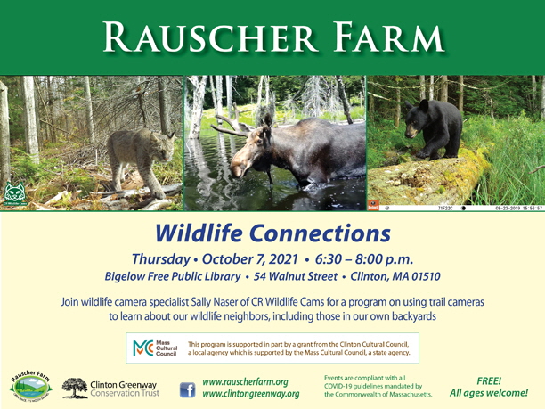 Event Poster: Wildlife Connections

With photos of a bobcat, a moose, and a black bear captured by Sally Nasser's wildlife cameras elsewhere in Massachusetts.

Thursday October 7, 2021
6:30 to 8:00 p.m.
Bigelow Free Public Library, 54 Walnut Street, Clinton, MA 01510
Join wildlife camera specialist Sally Nasser of CR Wildlife Cams for a program on using trail cameras to learn about neighbors, including those in our own backyards.
This program is supported in part by a grant from the Clinton Cultural Council, a local agency which is supported by the Mass Cultural Council, a state agency.