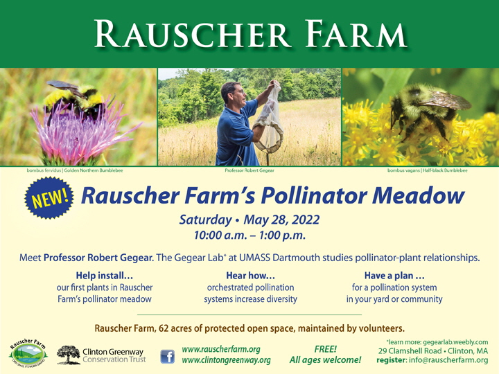 Event Poster: Rauscher Farm's Pollinator Meadow
With photos of two different bumblebees feeding on native flowers and a photo of professor  Robert Geger with a net in a Rauscher Farm field.
  
Saturday May 28, 2022
10:00 a.m. to 1:00 p.m.
Meet Professor Robert Gegear. The Gegear Lab at UMASS Dartmouth studies pollinator-plant relationships