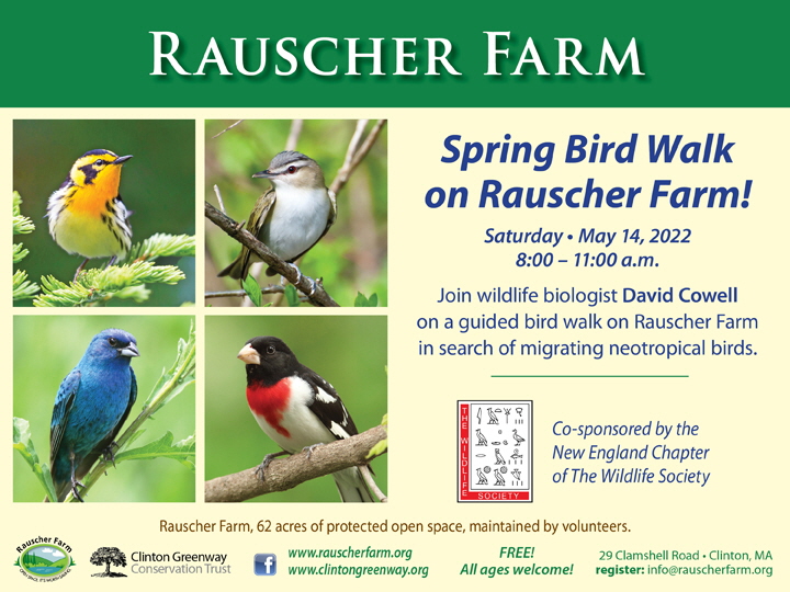 Event Poster:
Spring Bird Walk on Rauscher Farm!
Saturday May 14, 2022
8:00 to 11:00 a.m.

With photos of four different birds

Join wildlife biologist David Cowell on a guided bird walk on Rausher Farm in search of migrating neotropical birds. 

Co-sponsored by the New England chapter of the Wildlife Society.

