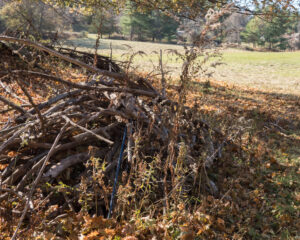 Brush pile near field edge