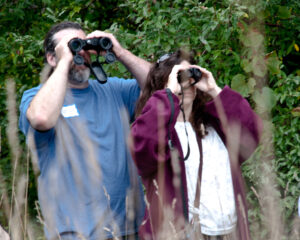 Two visitors observing birds through binoculars