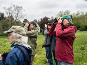 A group observing birds through binoculars