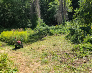 A brush cutting machine parked in a section of grassland edge it has just cleared of encroaching shrubs and plants