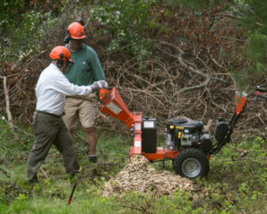 Two volunteers wearing hardhats with face masks and eaar protectors feeding cut branches into a wood chipping machine.