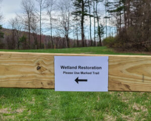 A "Wetland Restoration" sign guides visitors to use the marked trail.