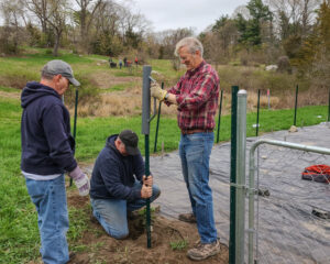 Volunteers installing fence for pollinator meadow nursery