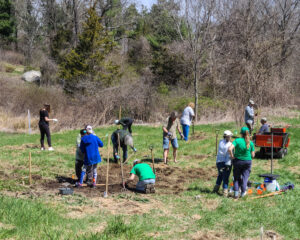 Volunteers removing sod to prepare site for pollinator meadow nursery.