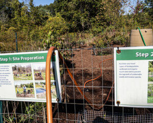 View of the partially planted nursery from outside the fence