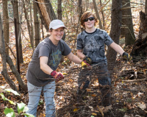A woman and her teenage son removing old wire fencing