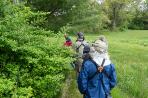 A group of people walking single-file along a field-edge trail